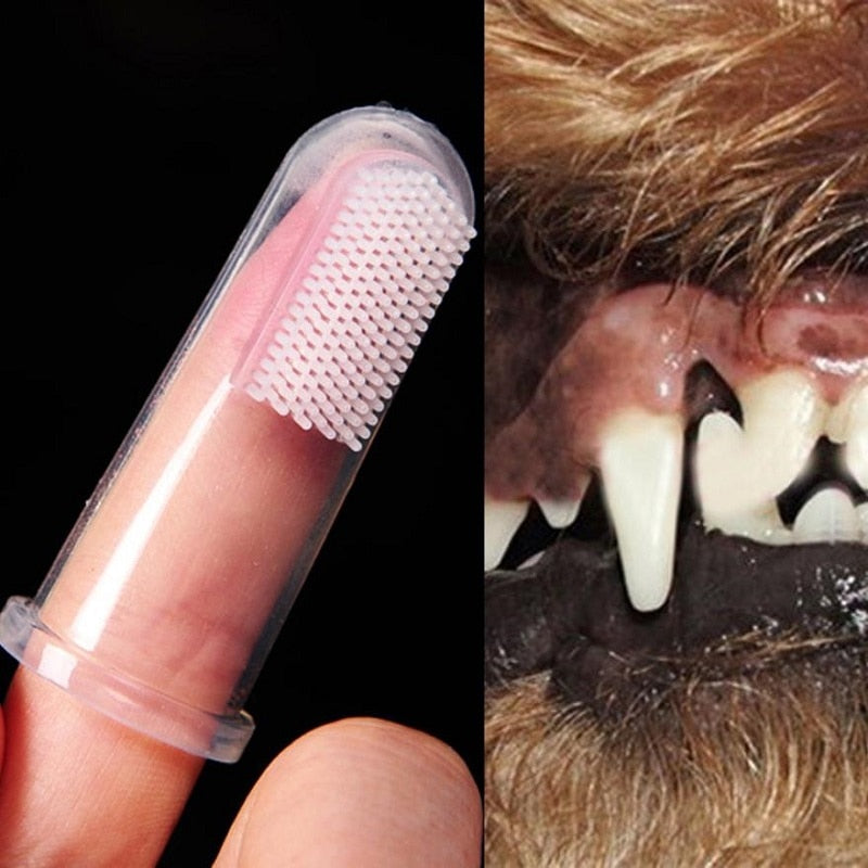 Escovinha de dentes para pet, cães e gatos